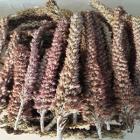 »óǰ¸í À̹ÌÁö