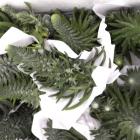 »óǰ¸í À̹ÌÁö