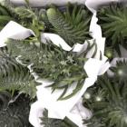 »óǰ¸í À̹ÌÁö